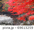 紅葉　秋　奥津渓　岡山県 69613259