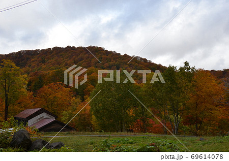 秋田の紅葉 秋田の紅葉 69614078
