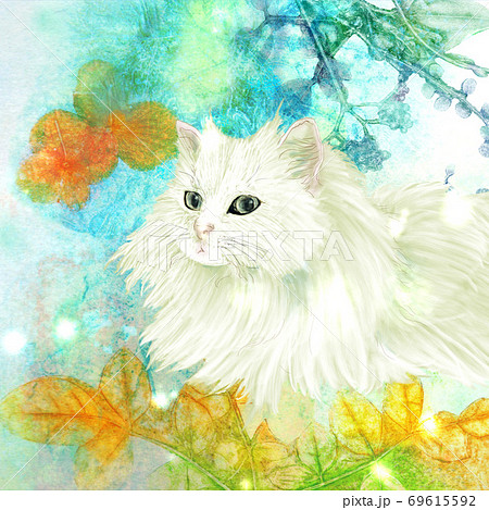 白いペルシャ猫のいる手描きイラストのイラスト素材