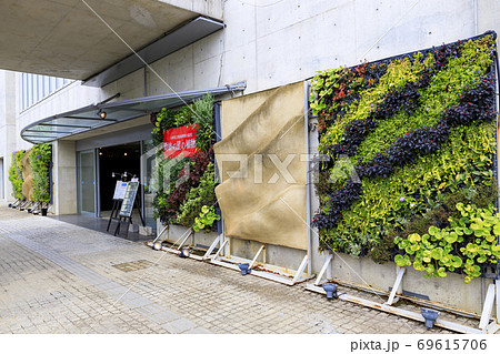 奇跡の星の植物館 奇跡の星の植物館 69615706