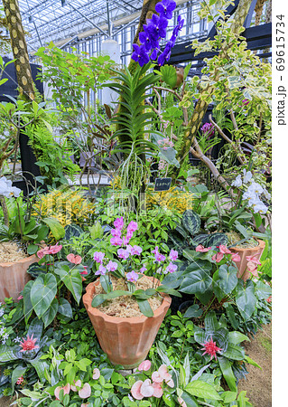 奇跡の星の植物館 69615734