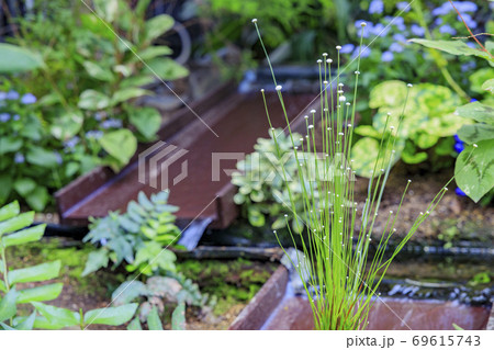 奇跡の星の植物館 69615743
