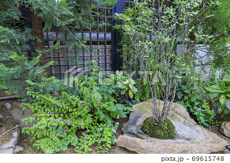 奇跡の星の植物館 69615748