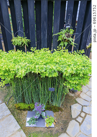 奇跡の星の植物館 69615752