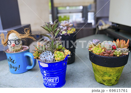 奇跡の星の植物館 奇跡の星の植物館 69615761