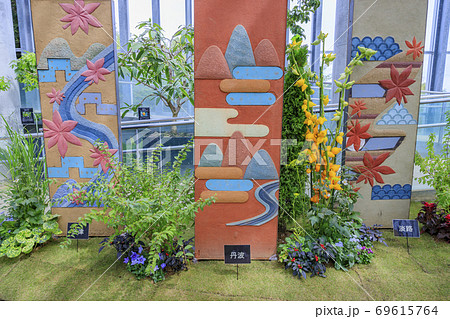 奇跡の星の植物館 奇跡の星の植物館 69615764