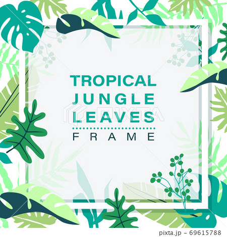 Tropical jungle leaves background 69615788