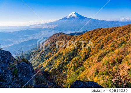 （山梨県）紅葉した三ツ峠山から望む、冠雪した富士山 69616089