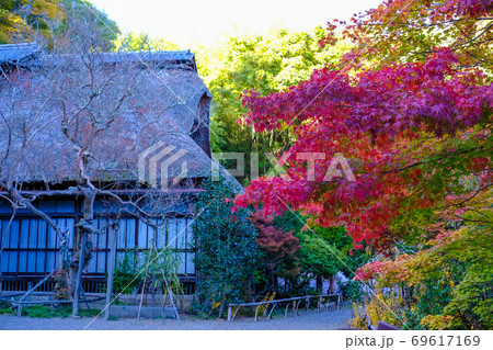 紅葉と常楽寺 69617169