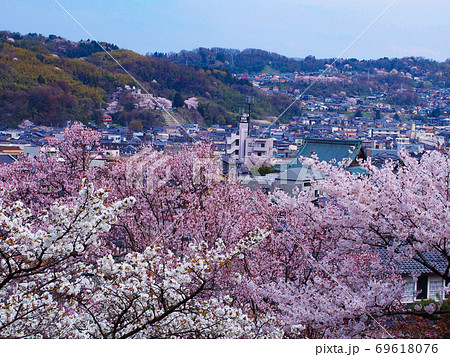 桜 春 空 兼六園 金沢 お花見の写真素材