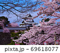 桜　春　空　兼六園　金沢　お花見 69618077