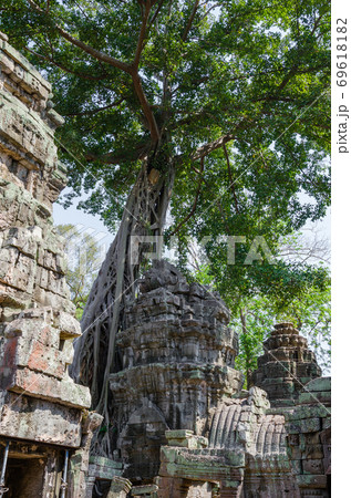 Ta Prohm Temple is The One Attractive Temple In Angkor Thom Area at Siem Reap Province of Cambodia. 69618182