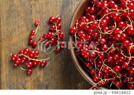 Fresh red currant berries in plate Fresh red currant berries in plate 69618822
