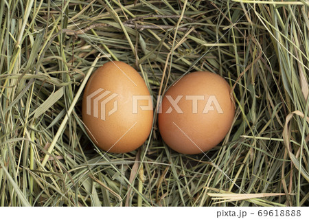 Fresh chicken eggs in the hay. Rural scene. 69618888