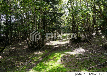山伏　大谷嶺　間の登山道 69620127