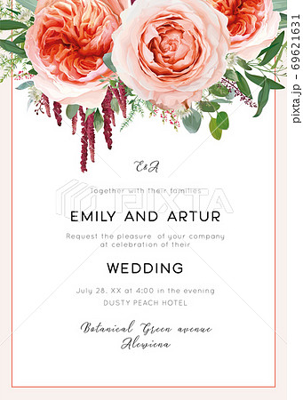 Wedding invite card, invitation. Pale coral & dusty peach roses, astrantia plant, pink heather flowers, burgundy red amaranth, eucalyptus, asparagus fern leaves & herbs vector, watercolor illustration 69621631