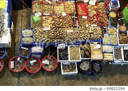 市場 在来市場 魚介類 69622294