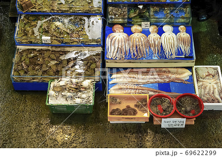 市場 在来市場 魚介類 69622299