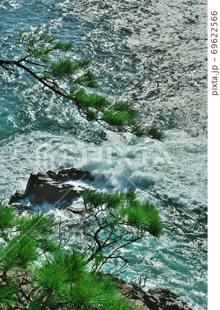 越前海岸 鍋島園地 日本海の松と岩礁に打ち寄せる荒波 越前海岸 鍋島園地 日本海の松と岩礁に打ち寄せる荒波 69622566