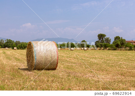 Hay rolls on a village field in northern Italy. Beautiful sunny summer day 69622914