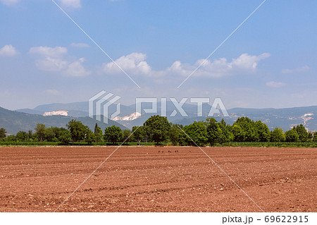 Plowed field. Field prepared for crops. Spring time in nord Italy 69622915