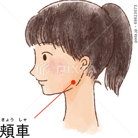 ツボ・経穴「頰車」の手描き風イラスト ツボ・経穴「頰車」の手描き風イラスト 69623073