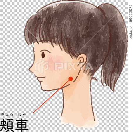 ツボ・経穴「頰車」の手描き風イラスト ツボ・経穴「頰車」の手描き風イラスト 69623073