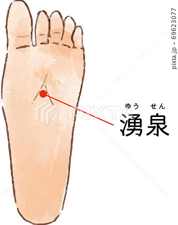 ツボ・経穴「湧泉」の手描き風イラスト 69623077
