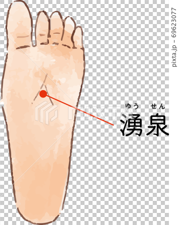 ツボ・経穴「湧泉」の手描き風イラスト 69623077