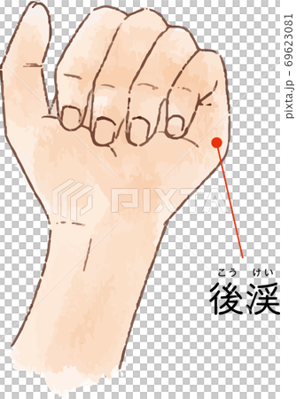 ツボ・経穴「後渓」の手描き風イラスト 69623081