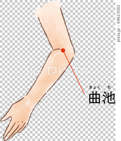 ツボ・経穴「曲池」の手描き風イラスト 69623082