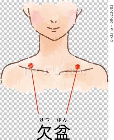 ツボ・経穴「欠盆」の手描き風イラスト 69623083