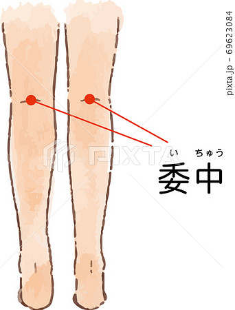 ツボ・経穴「委中」の手描き風イラスト 69623084