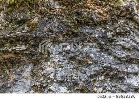 Texture of a stone overgrown with moss in the forest 69623236