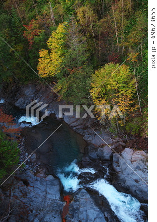 紅葉の濁河川 69623655