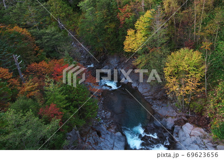 紅葉の濁河川 69623656