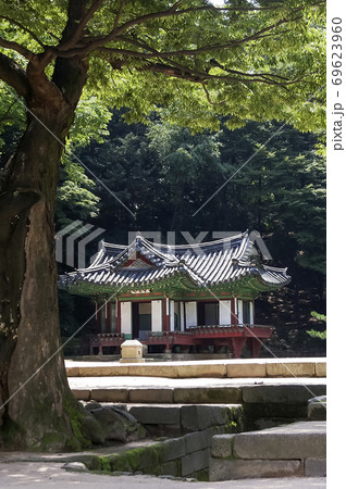 夏 故宮 宮殿 69623960