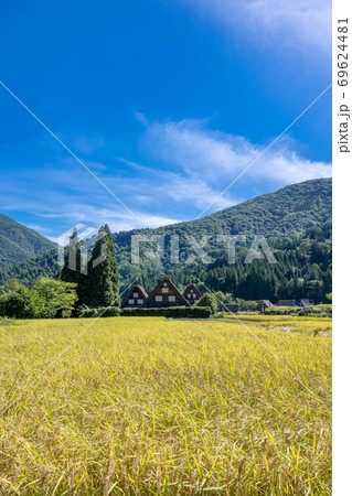黄金色の稲穂が輝く初秋の白川郷 ～世界遺産合掌造り集落 69624481