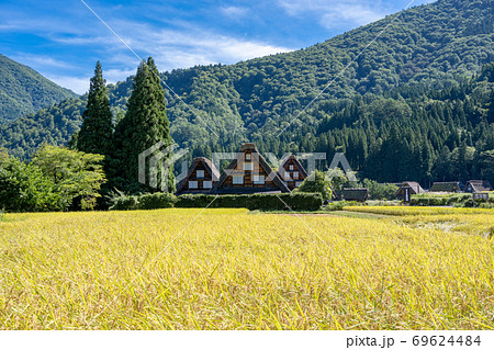 黄金色の稲穂が輝く初秋の白川郷 ～世界遺産合掌造り集落 69624484