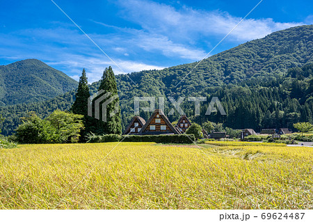 黄金色の稲穂が輝く初秋の白川郷 ~世界遺産合掌造り集落 黄金色の稲穂が輝く初秋の白川郷 ~世界遺産合掌造り集落 69624487