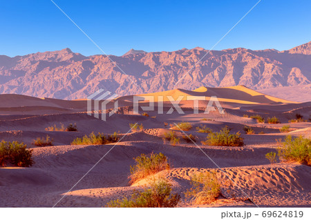 Landscape of sand dunes in Death Valley National Park during sunset. California. USA 69624819