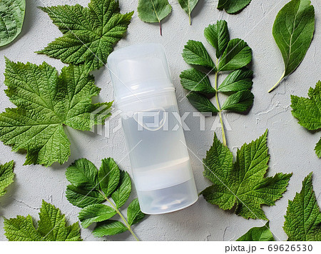 Mock-up of transparent bottle of Intimate lubricant gel and fresh leaves on a gray textural background. Bottle for branding and label. Flower Flat lay, top view. 69626530