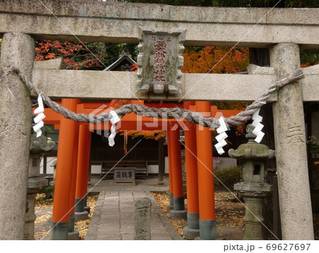 紅葉と朱色の鳥居・孫太郎稲荷社 紅葉と朱色の鳥居・孫太郎稲荷社 69627697