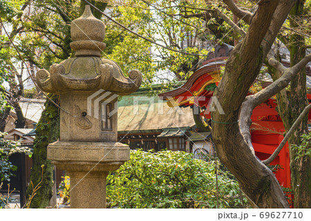 [東京・愛宕] 東京の愛宕神社の春日の石灯篭と梅木 69627710