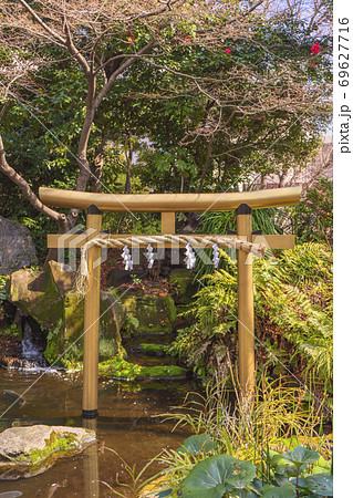 [東京・愛宕] 東京の愛宕神社にある池に湧き出す児盤水の滝の前に立つ金色の鳥居 69627716
