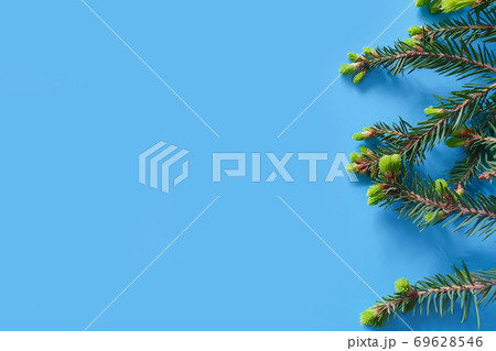 Christmas and New Year border on blue background. Frame of pine / fir branches. The basis for cards and invitations. Product background, top view, flat lay. Christmas and New Year border on blue background. Frame of pine / fir branches. The basis for cards and invitations. Product background, top view, flat lay. 69628546