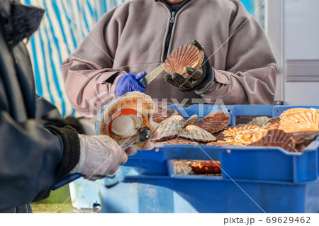 Women open and clean scallops for sale at the Fair of Herring and scallop shell. Women open and clean scallops for sale at the Fair of Herring and scallop shell. 69629462