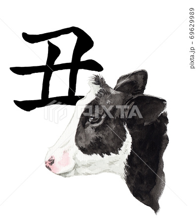 水彩で描いた牛の横顔と丑の筆文字のイラスト素材