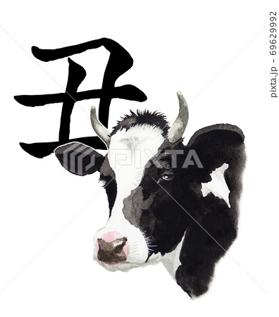 水彩で描いた牛の顔と丑の筆文字のイラスト素材