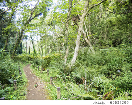 日本の貴重な自然湘南三浦半島の小網代の森(秋) 日本の貴重な自然湘南三浦半島の小網代の森(秋) 69632296